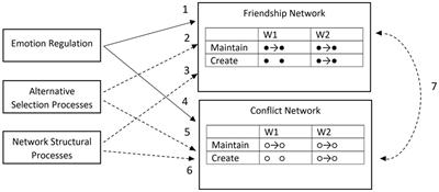 The Role of Cognitive Emotion Regulation for Making and Keeping Friend and Conflict Networks